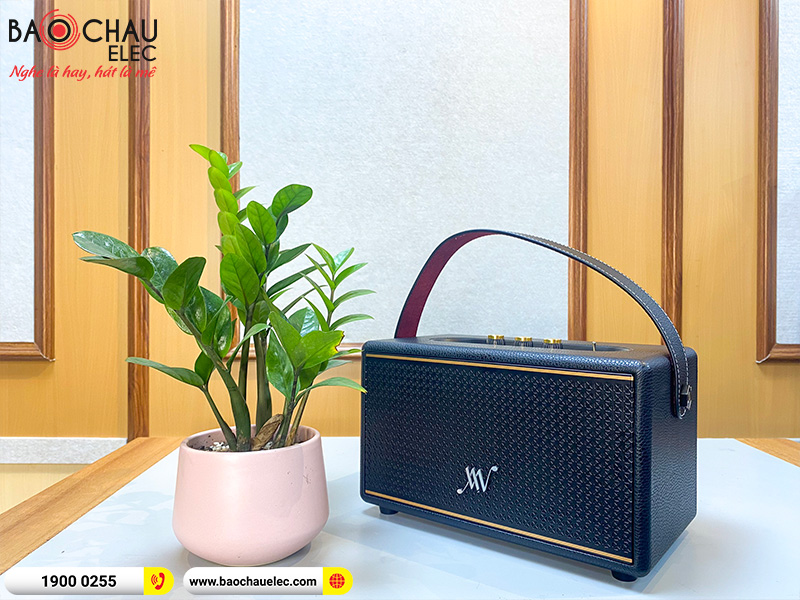 Loa Bluetooth Retro Alpha Works Classic V60