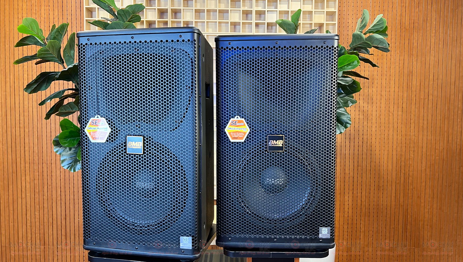 Loa Karaoke BMB CSS 1210SE (Pro, Full Bass 25cm)