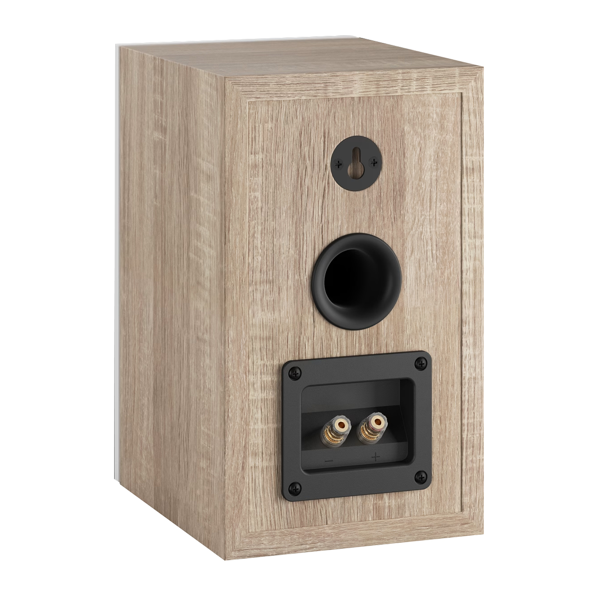 Mặt sau Loa Dali Oberon 1