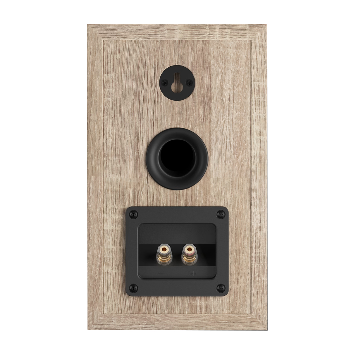 Mặt sau Loa Dali Oberon 1