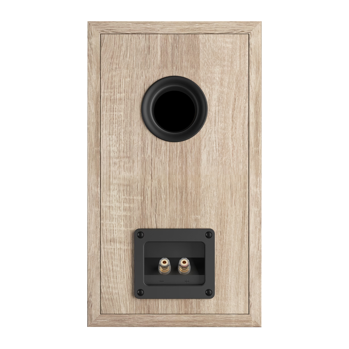 Mặt sau Loa Dali Oberon 3