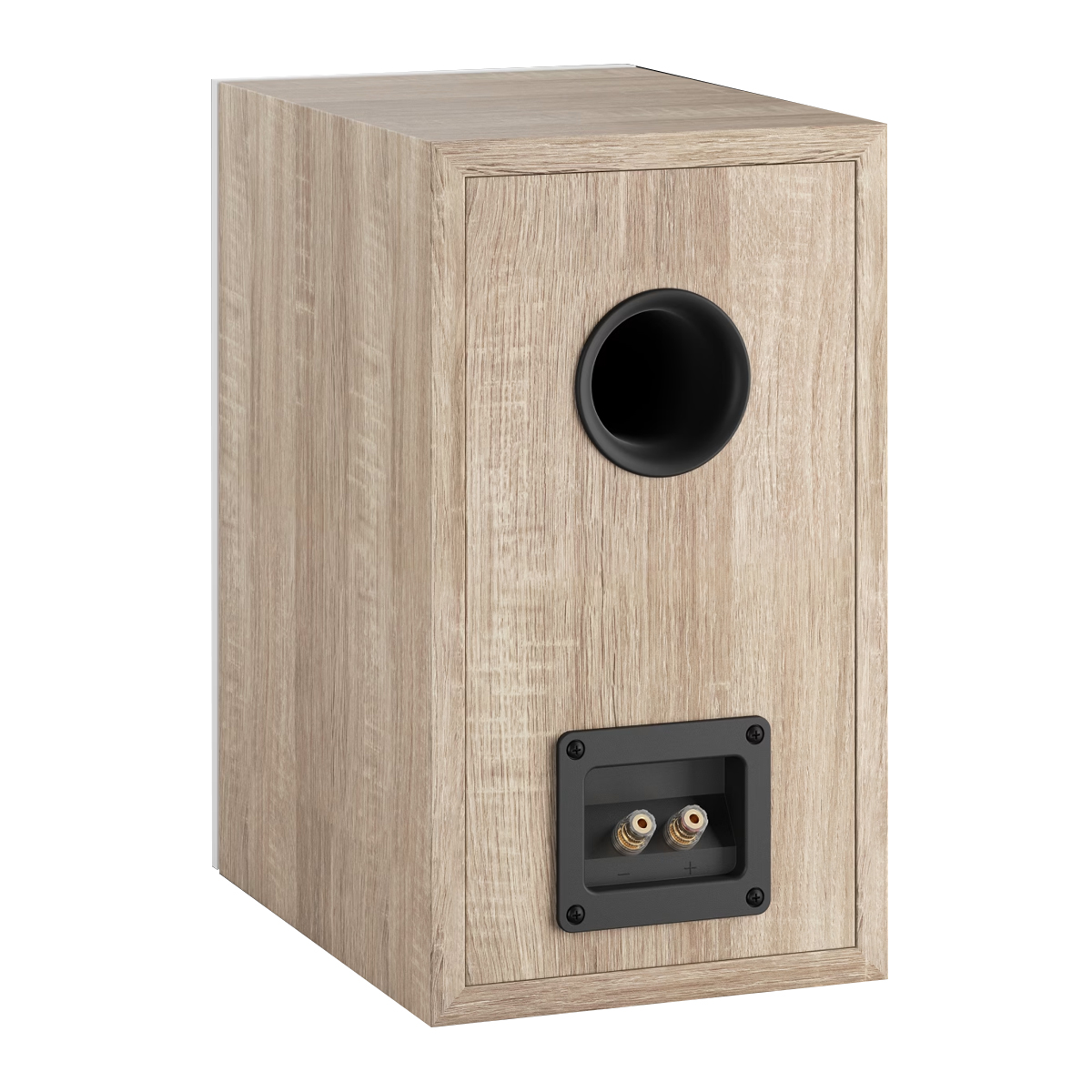 Mặt sau Loa Dali Oberon 3