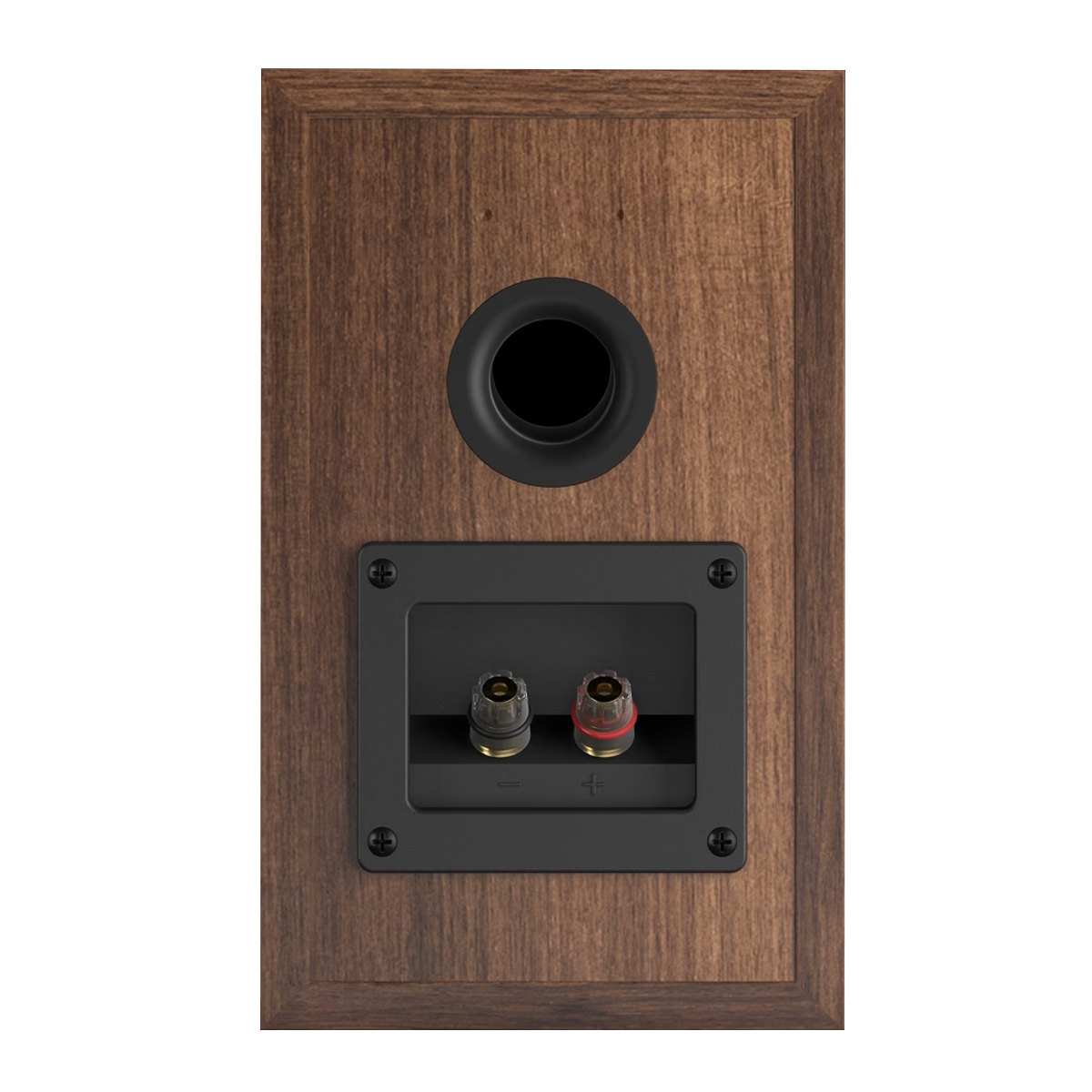 Mặt sau Loa Dali Spektor 1