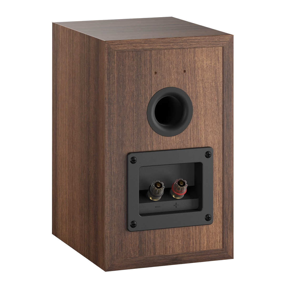 Mặt sau Loa Dali Spektor 1