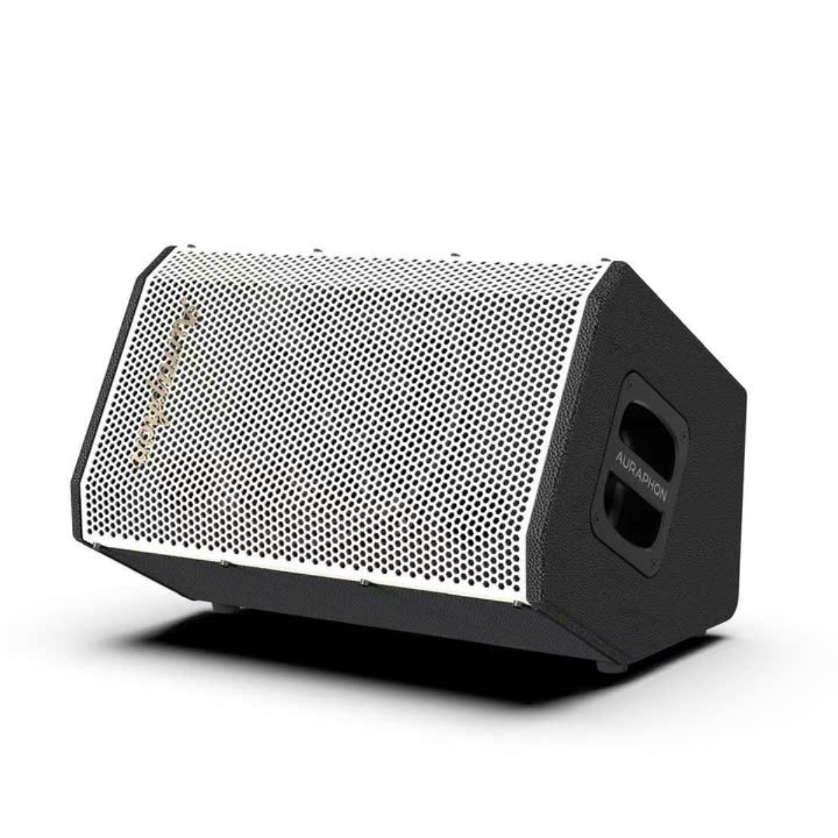 Loa di động Auraphon MS5