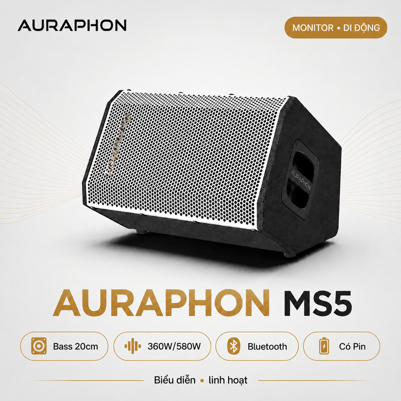 Loa di động Auraphon MS5 (Bass 20cm, 360W/580W, Bluetooth, Có Pin)