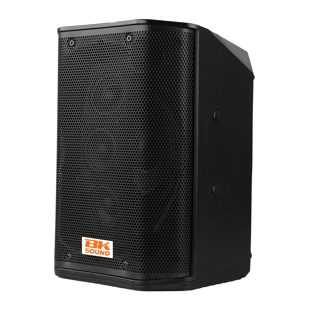 Loa di động BKSound Y1-B