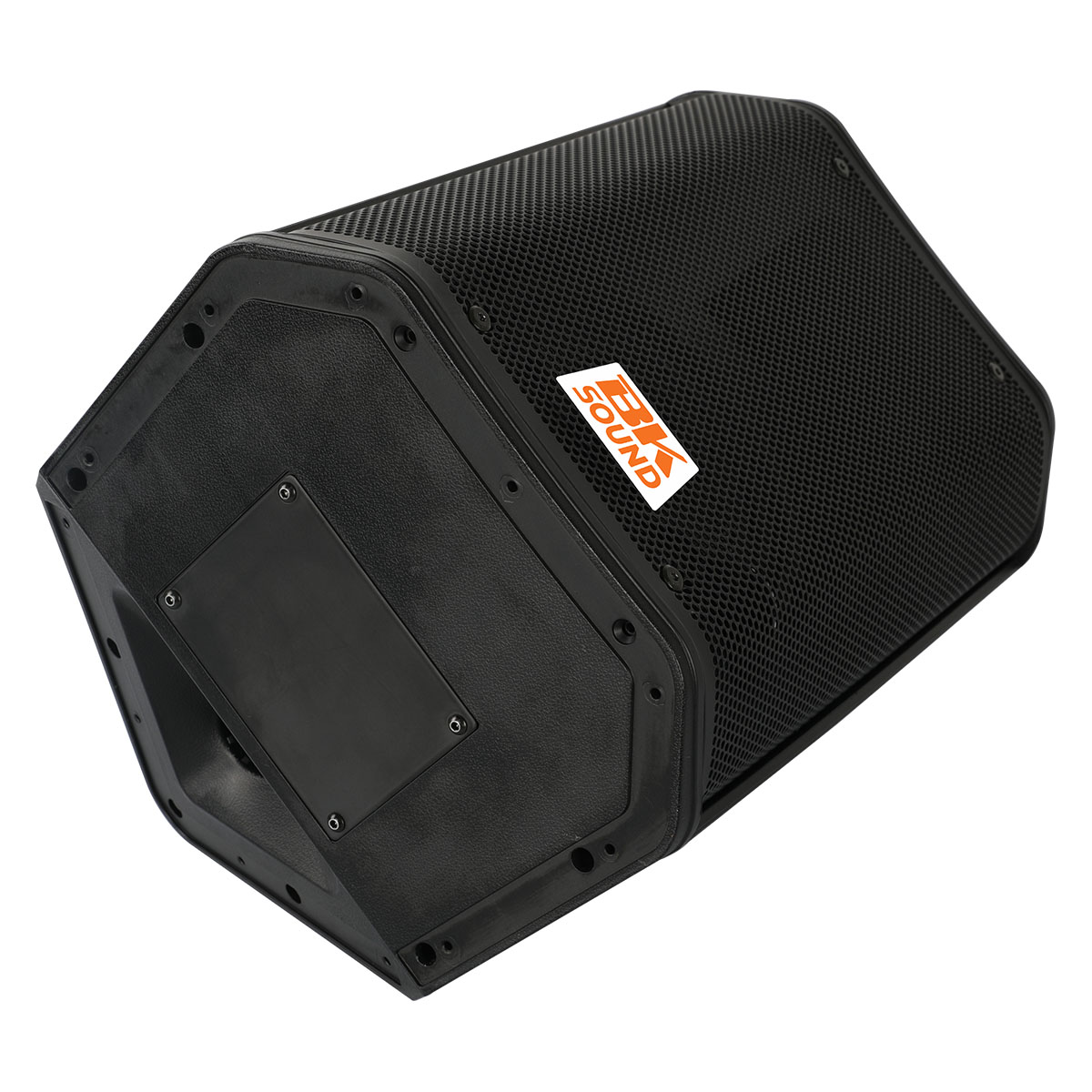 Loa di động BKSound Y1-B