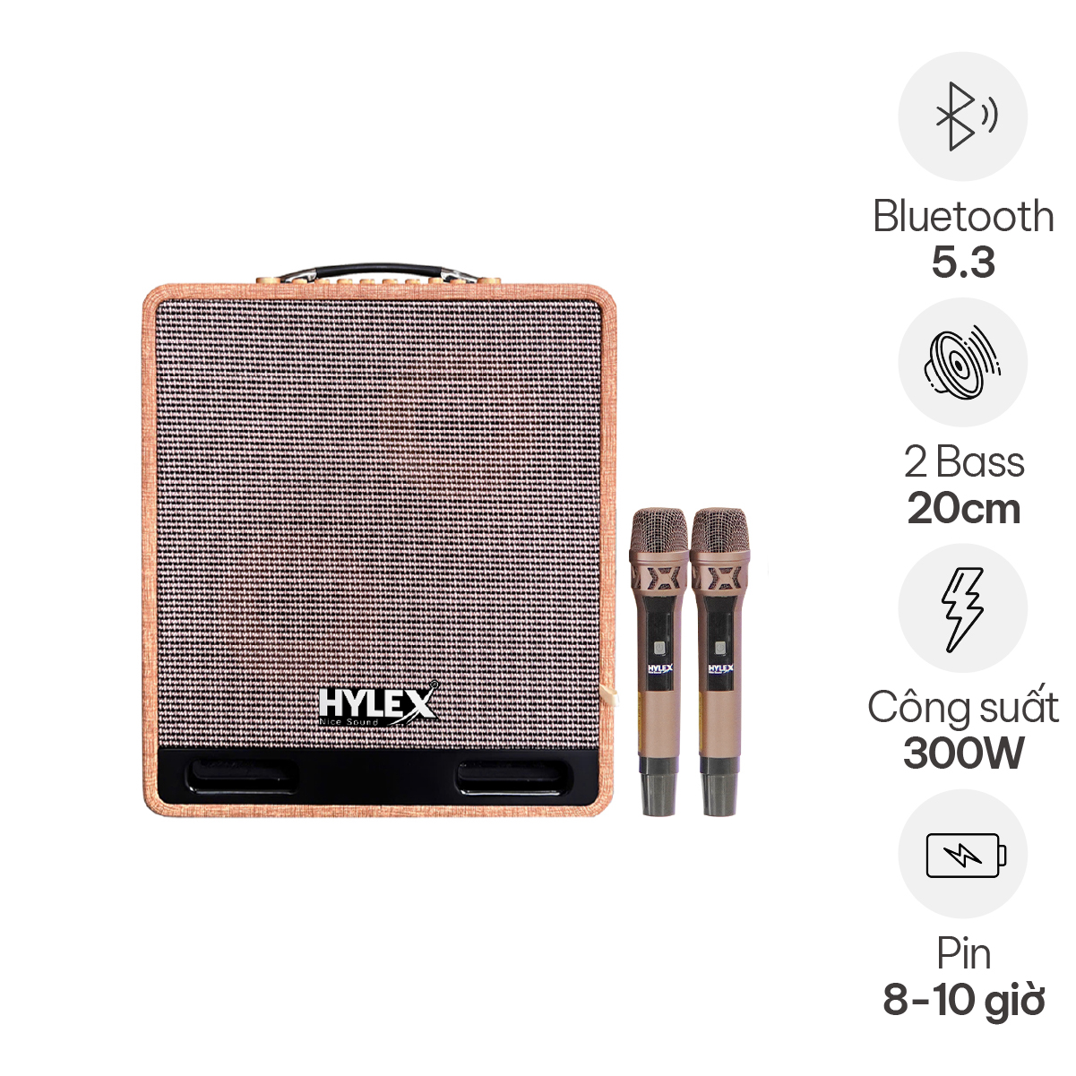 Loa di động Hylex PA55MK