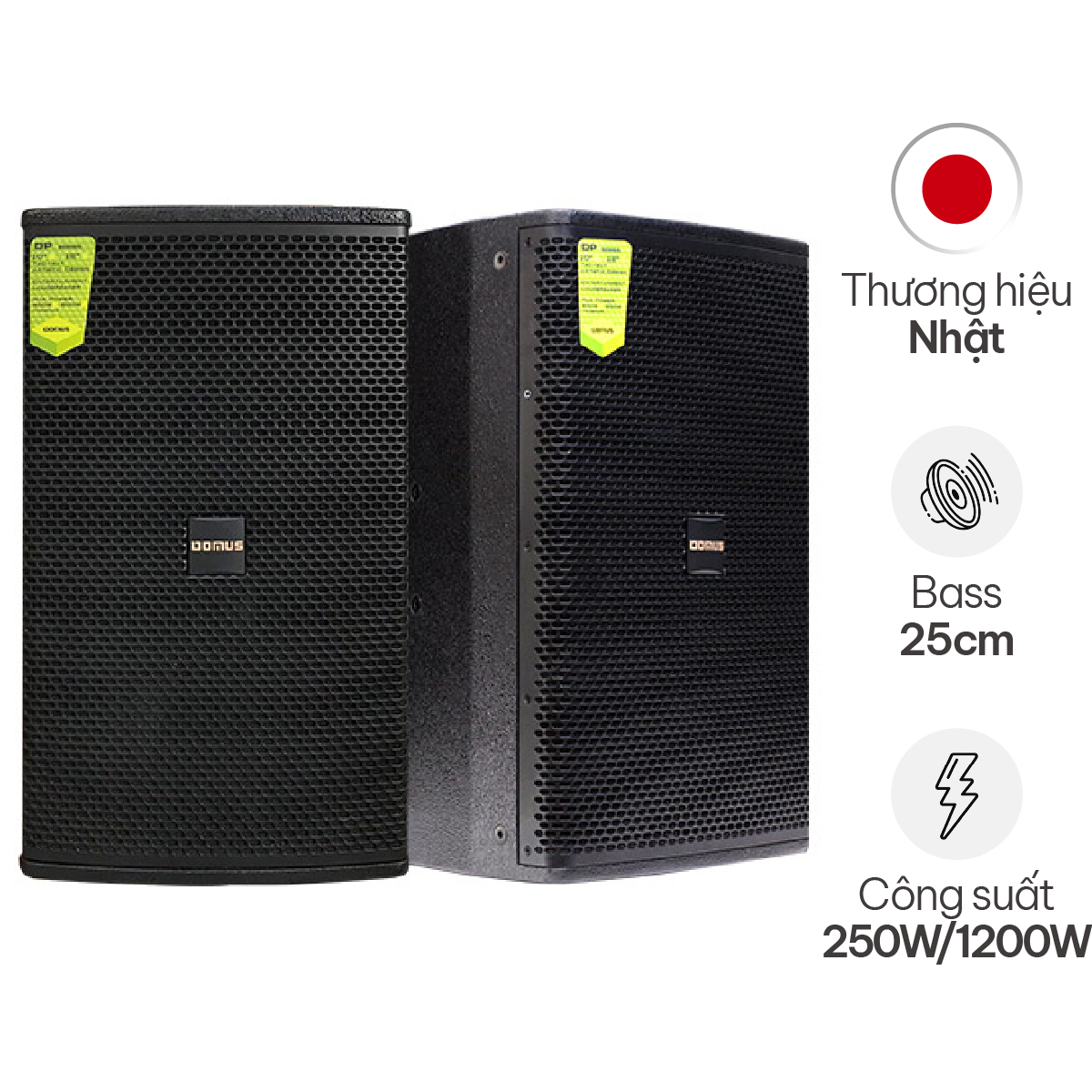 Loa karaoke Domus DP 6100