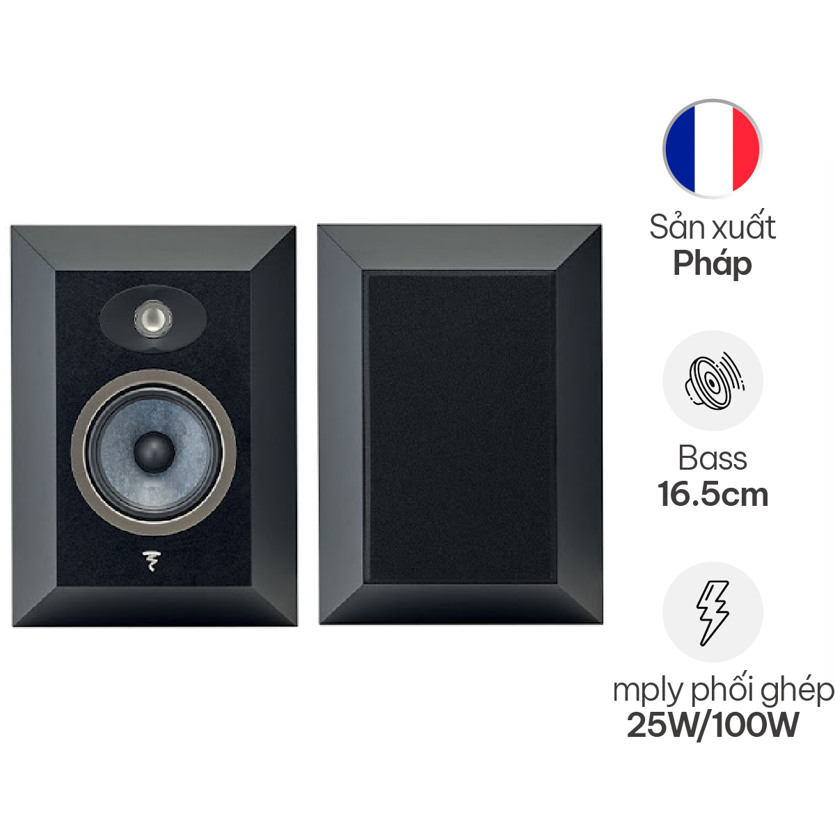 Loa Focal Theva Surround