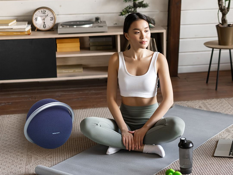 Loa Bluetooth Harman Kardon