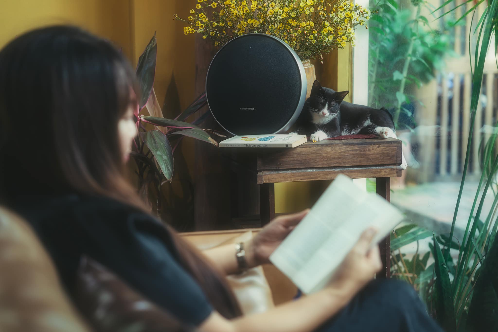 Loa Bluetooth Harman Kardon