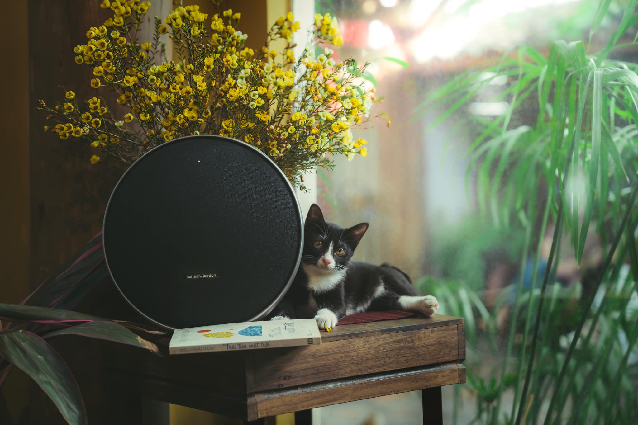 Loa Bluetooth Harman Kardon