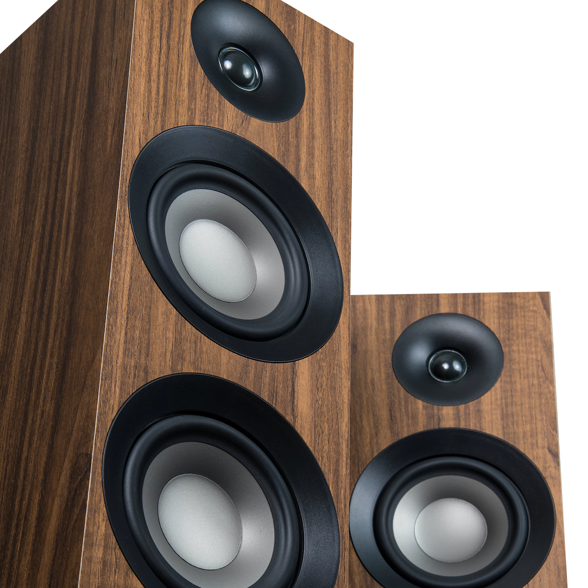 Loa nghe nhạc Jamo S809 - Hình 1