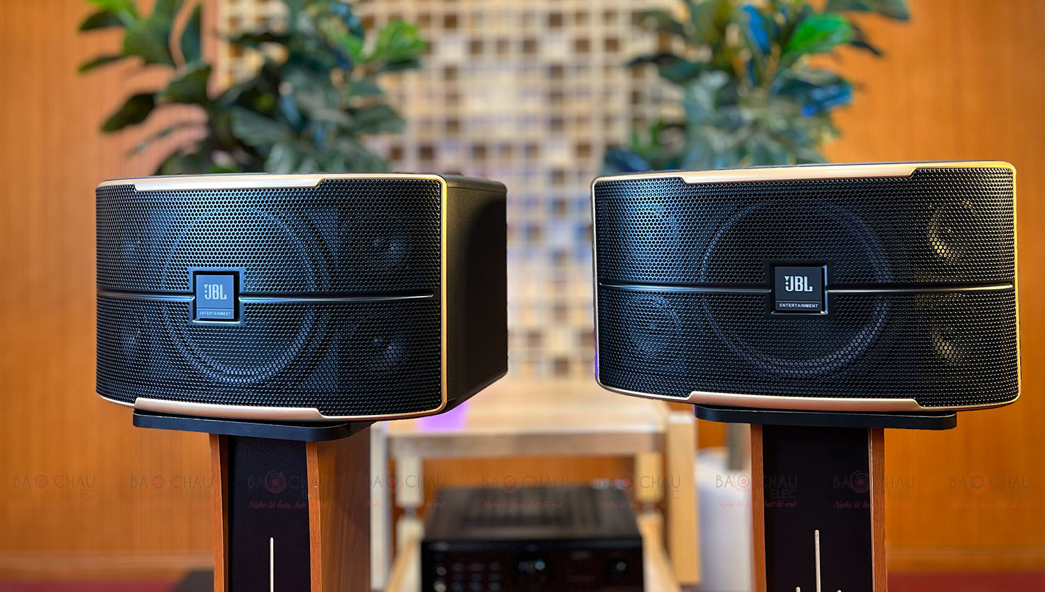 Loa karaoke JBL Pasion 10