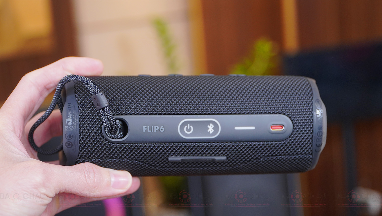 Loa bluetooth JBL Flip 6