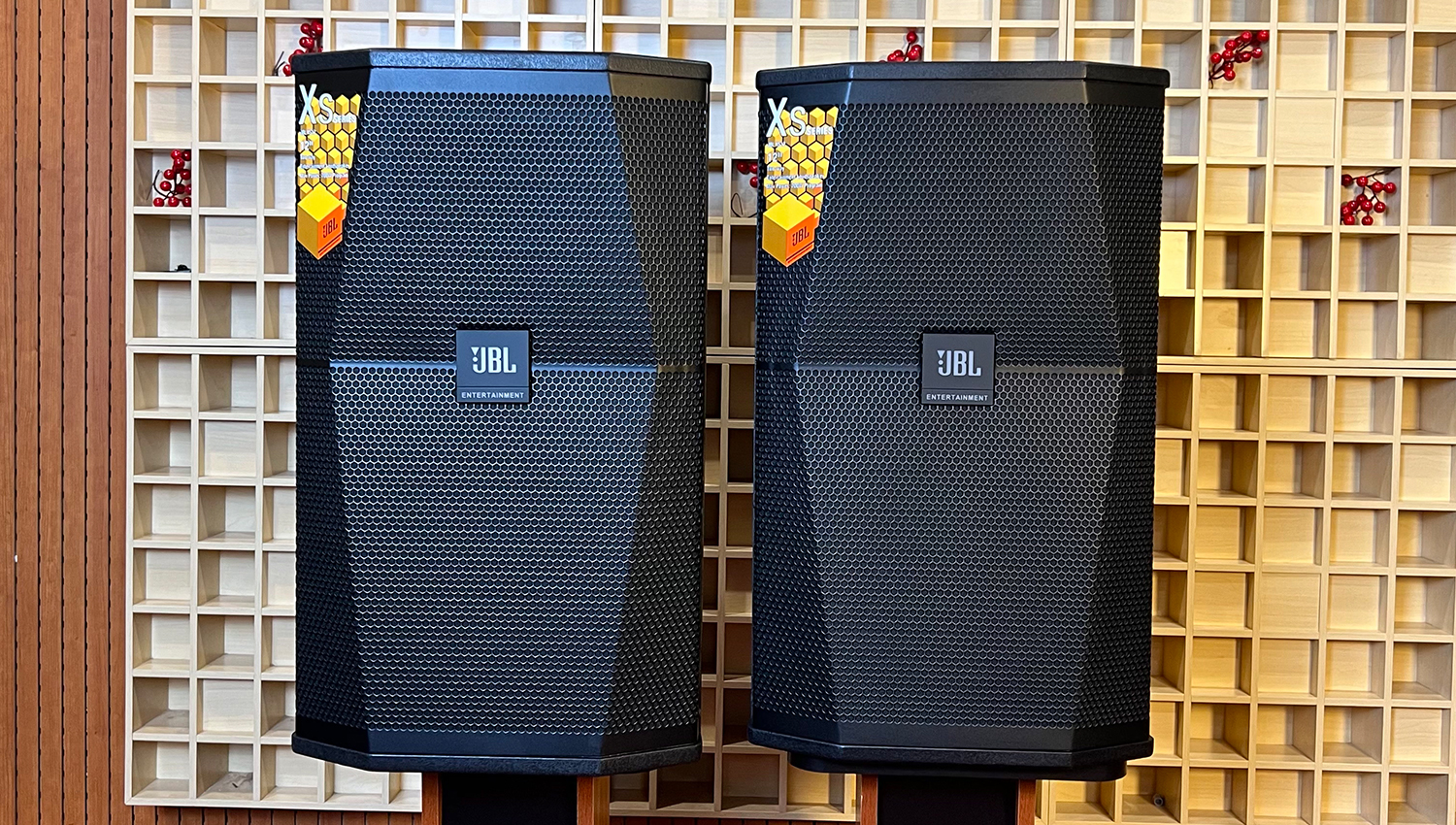 Ảnh thực tế Loa karaoke JBL XS12