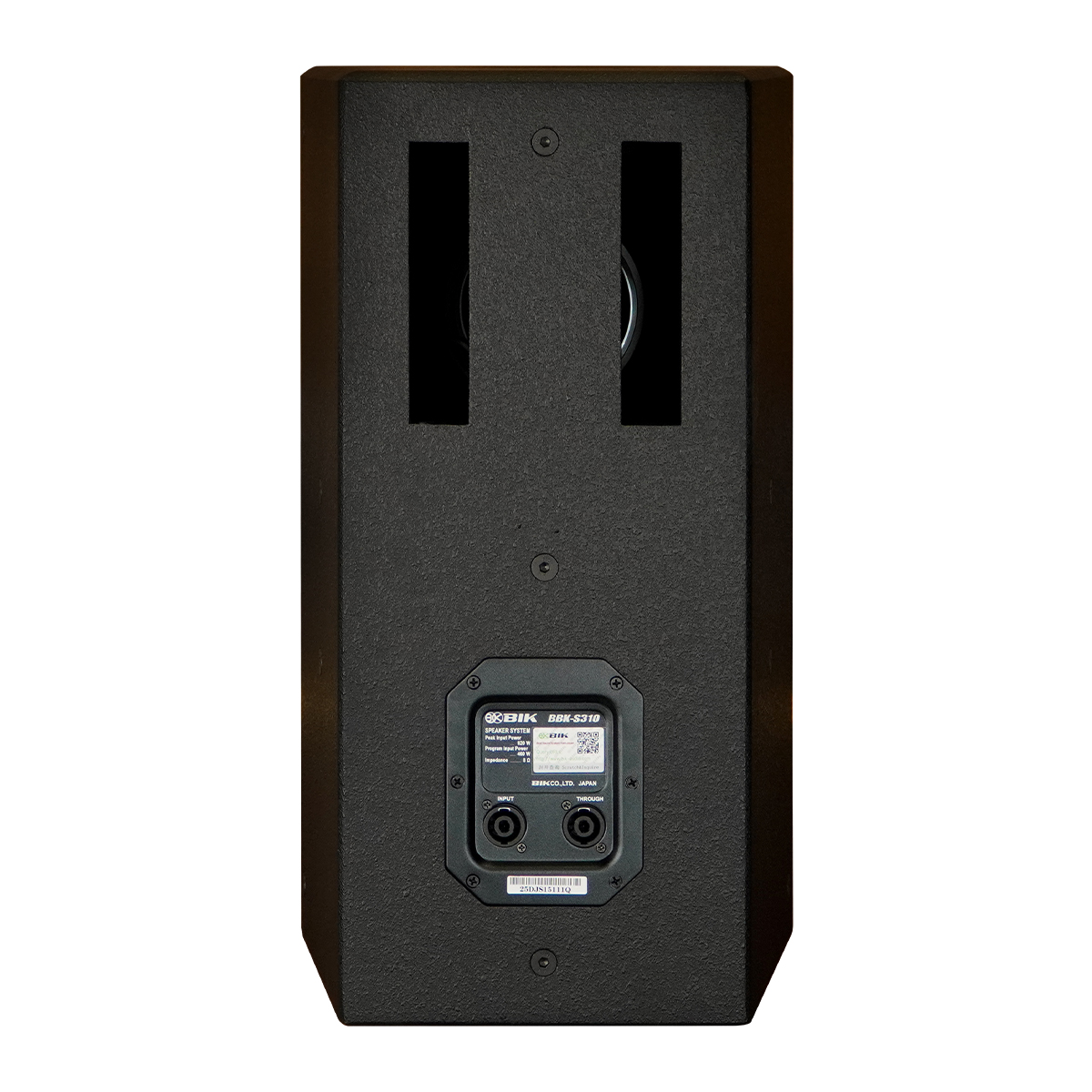 Loa BIK BBK-S310