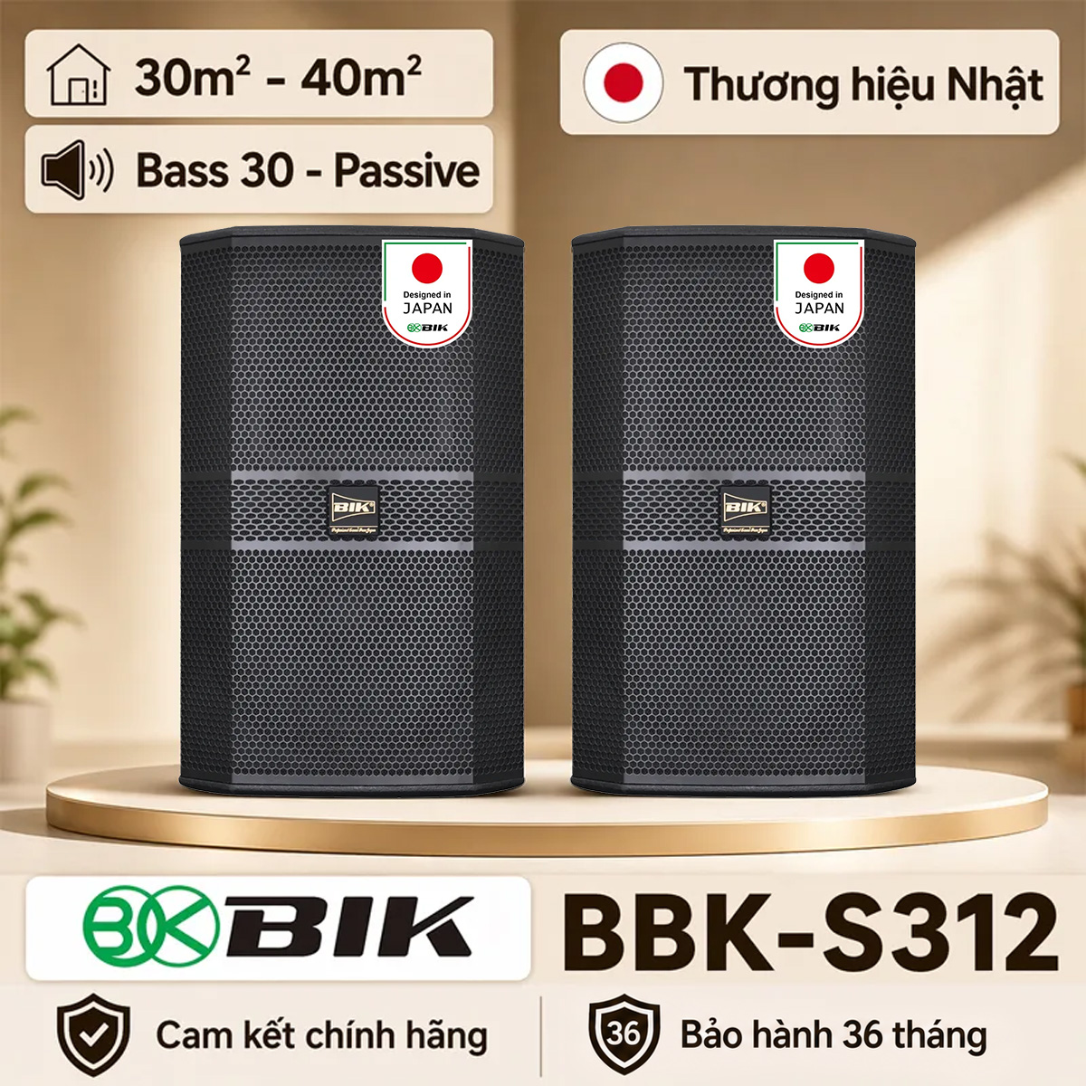 Loa karaoke Nhật BIK BBK-S312