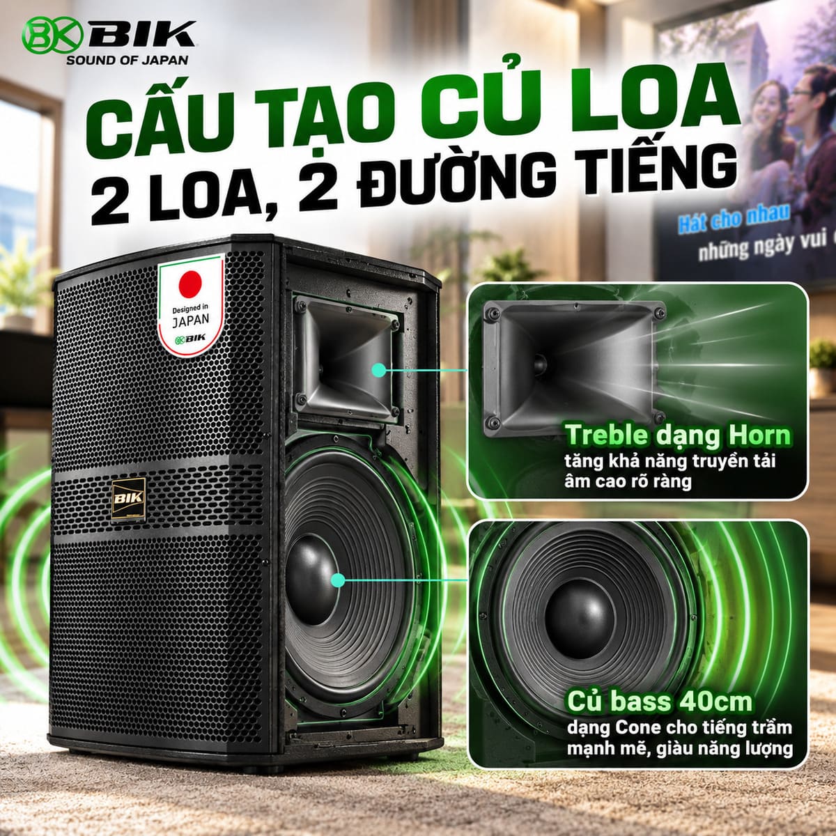 Loa karaoke BIK BBK-S315