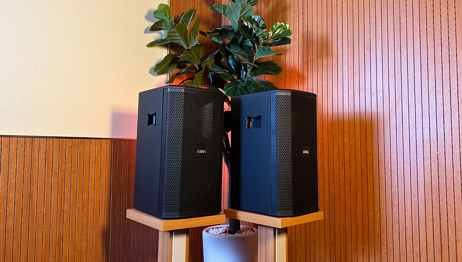 Loa Karaoke Nhật BIK BSP 410II Cao Cấp (Full Bass 25cm)