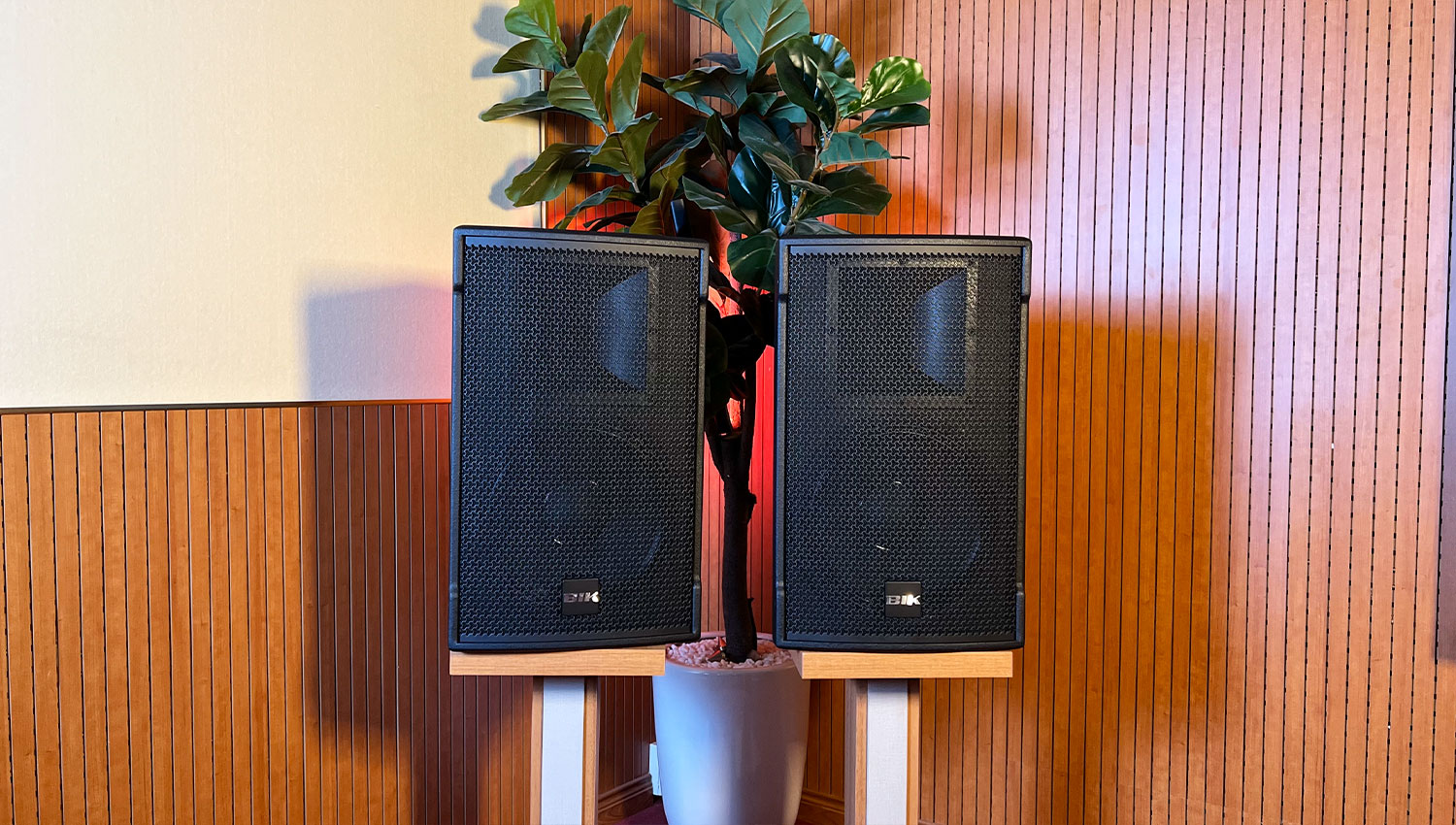 Loa Karaoke BIK CS-525 (Bass 30cm)