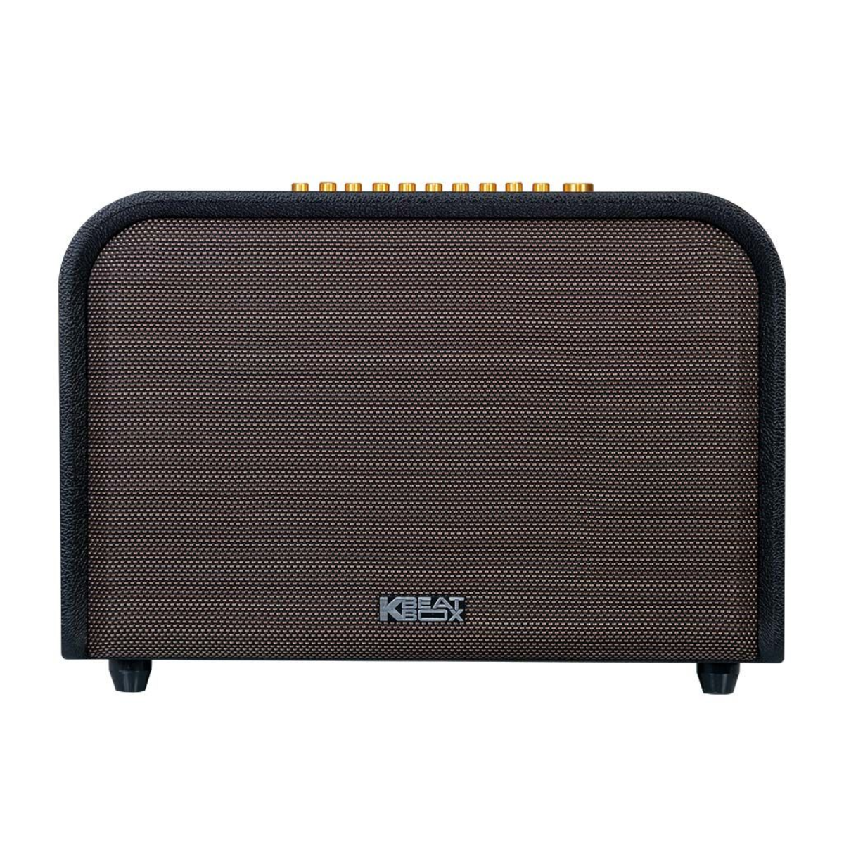 Loa Karaoke Di Động Acnos Acoustic 3