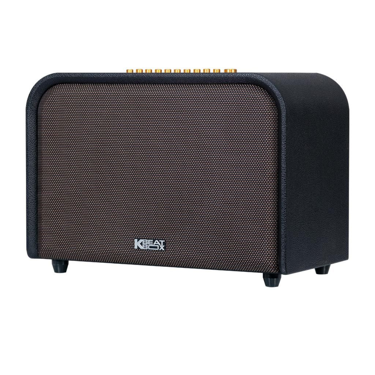 Loa Karaoke Di Động Acnos Acoustic 3