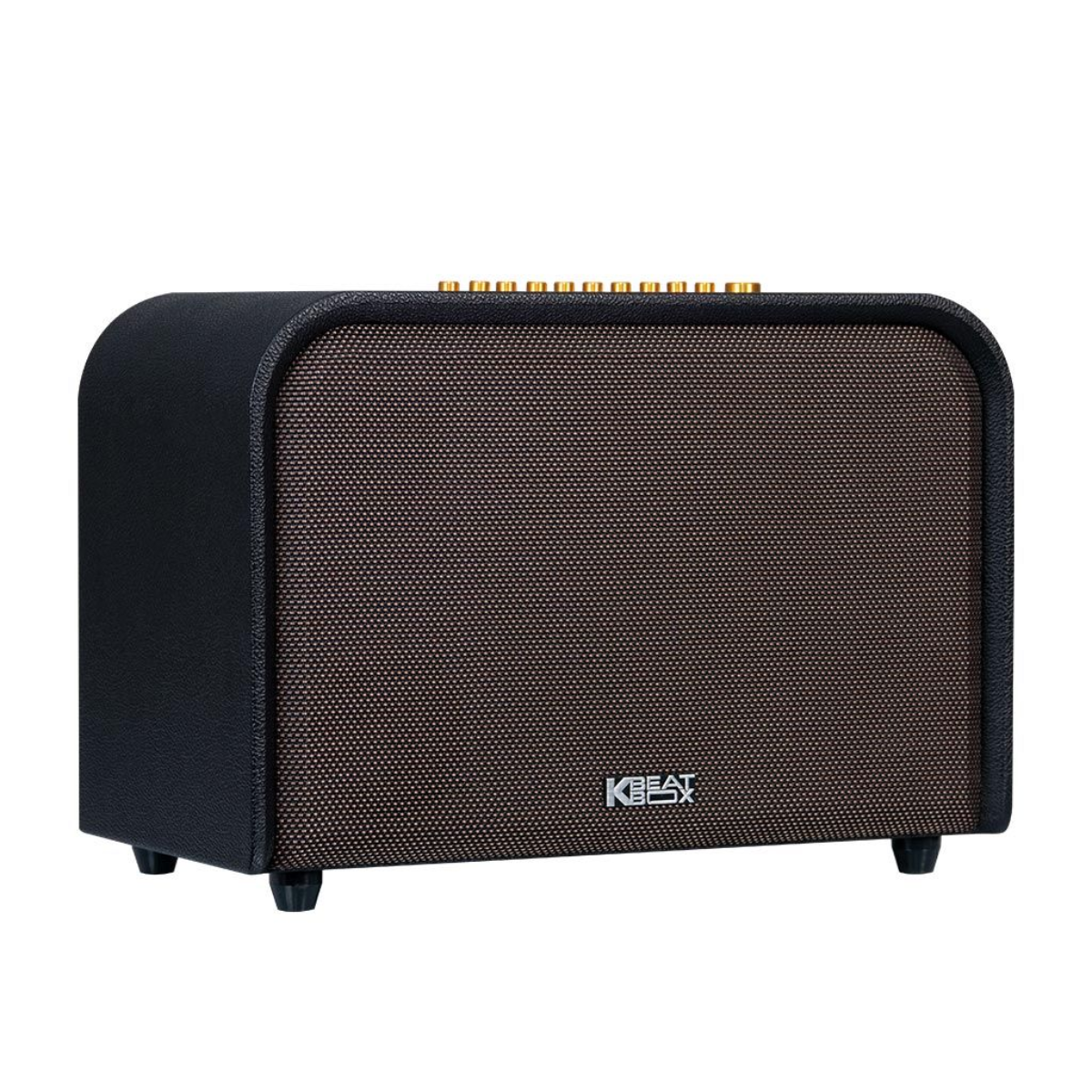 Loa Karaoke Di Động Acnos Acoustic 3