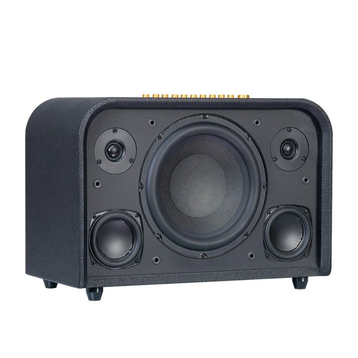 Loa Karaoke Di Động Acnos Acoustic 3