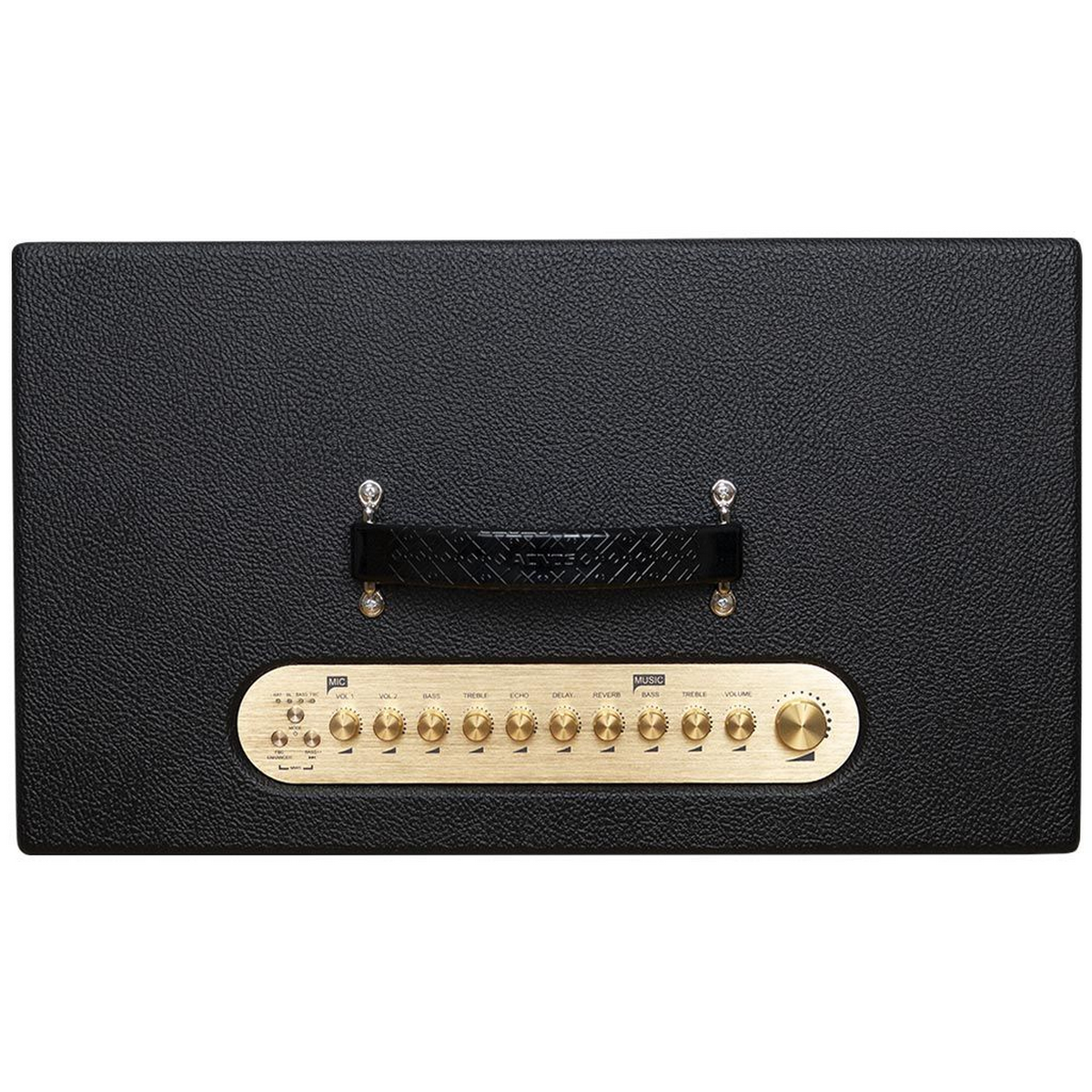 Loa xách tay Acnos Hi450