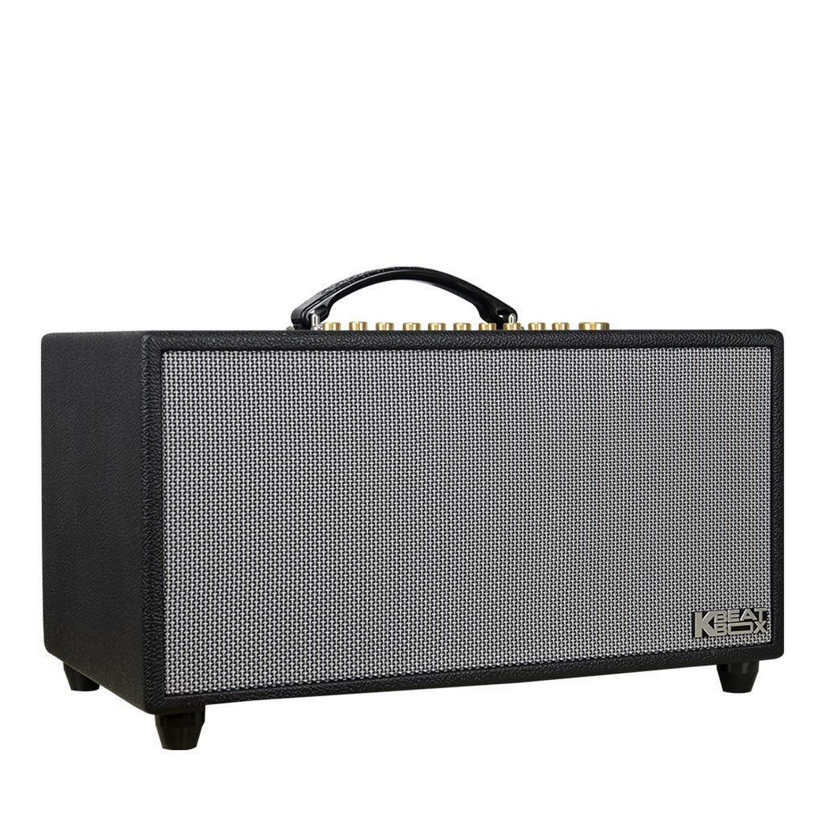 Loa xách tay Acnos Hi450