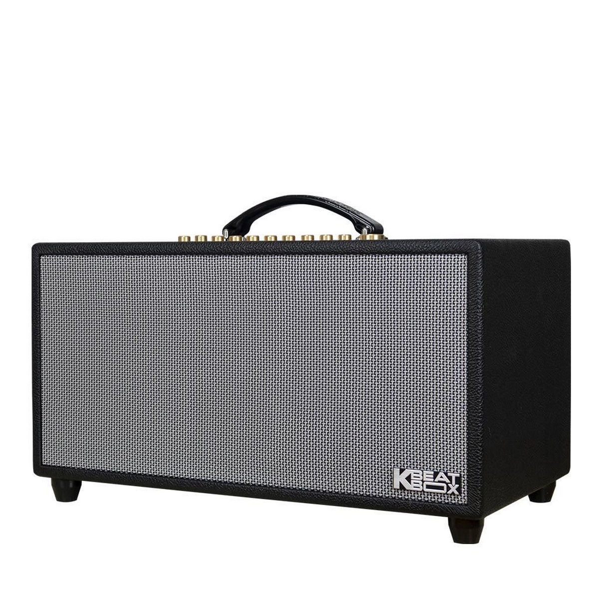 Loa xách tay Acnos Hi450