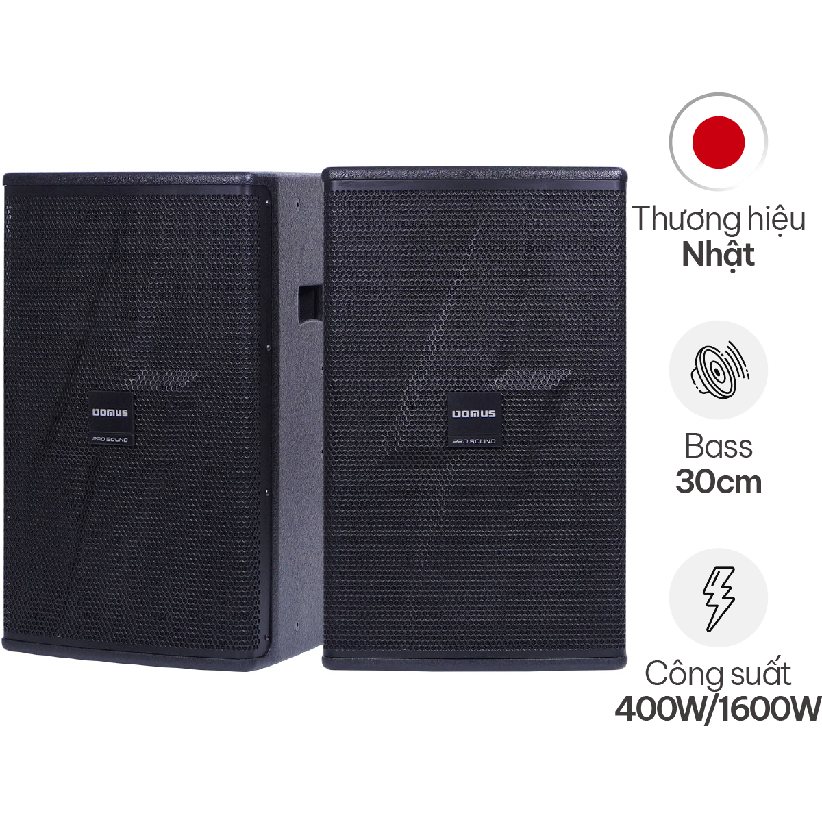 Loa Karaoke Domus DM-6012