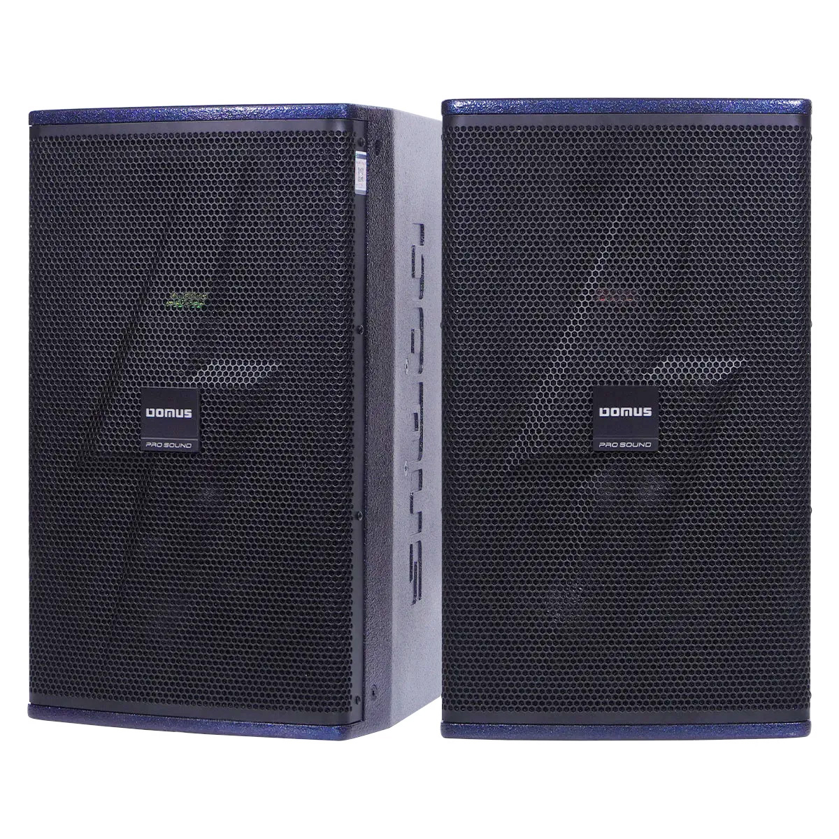 Loa Karaoke Domus DP-6210 MAX