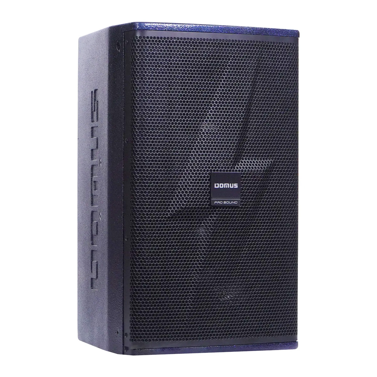 Loa Karaoke Domus DP-6210 MAX