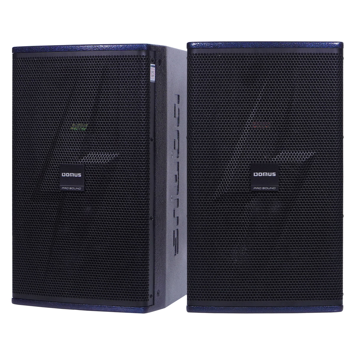 Loa Karaoke Domus DP-6212 MAX