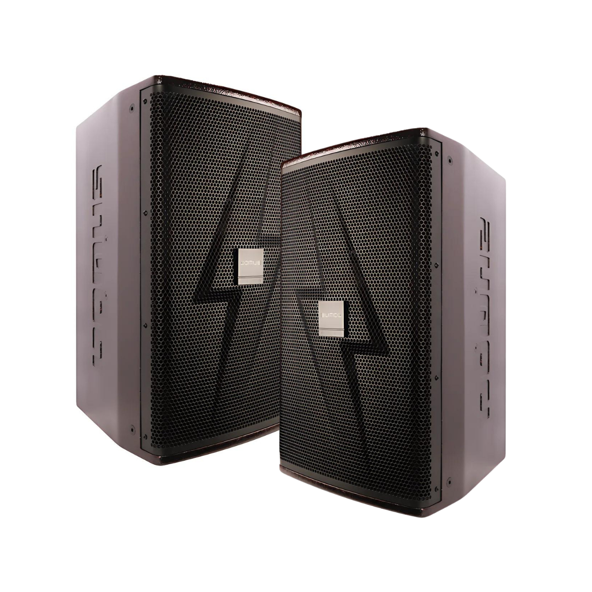 Loa Karaoke Domus DP-6212 Max