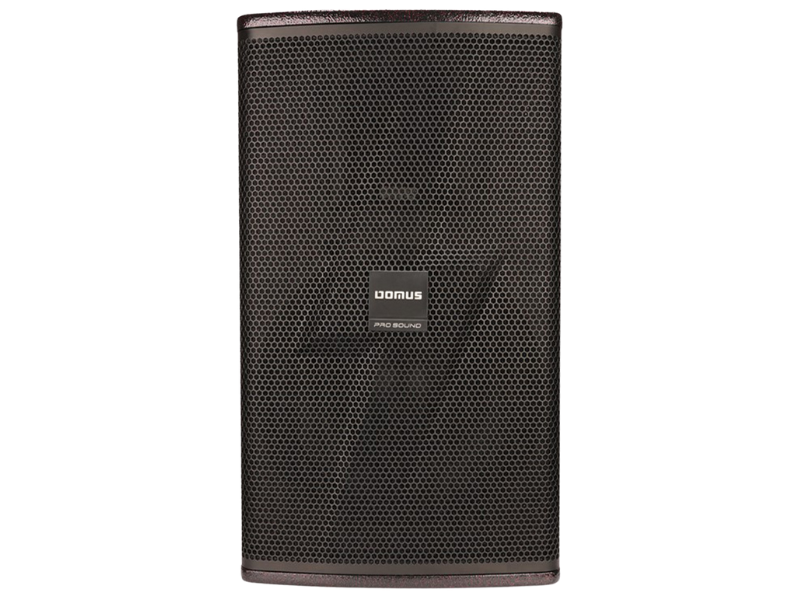 Loa Karaoke Domus DP-6215 MAX