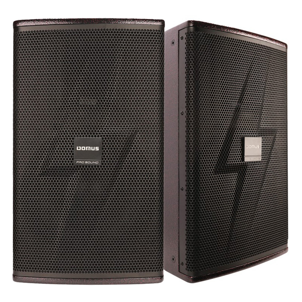 Loa Karaoke Domus DP-6215 MAX