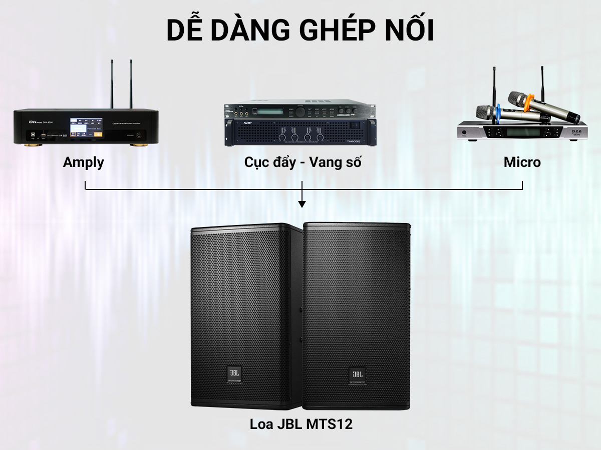 Loa karaoke JBL MTS12