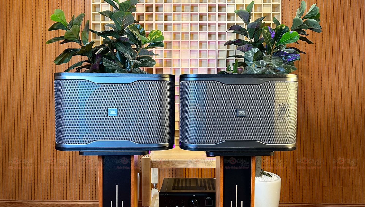 Loa Karaoke JBL RM210 (Active )