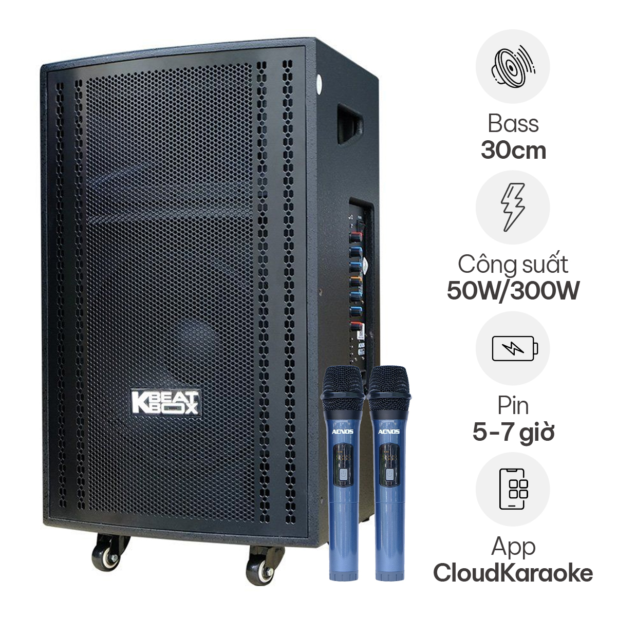 Loa kéo Acnos CB3050G