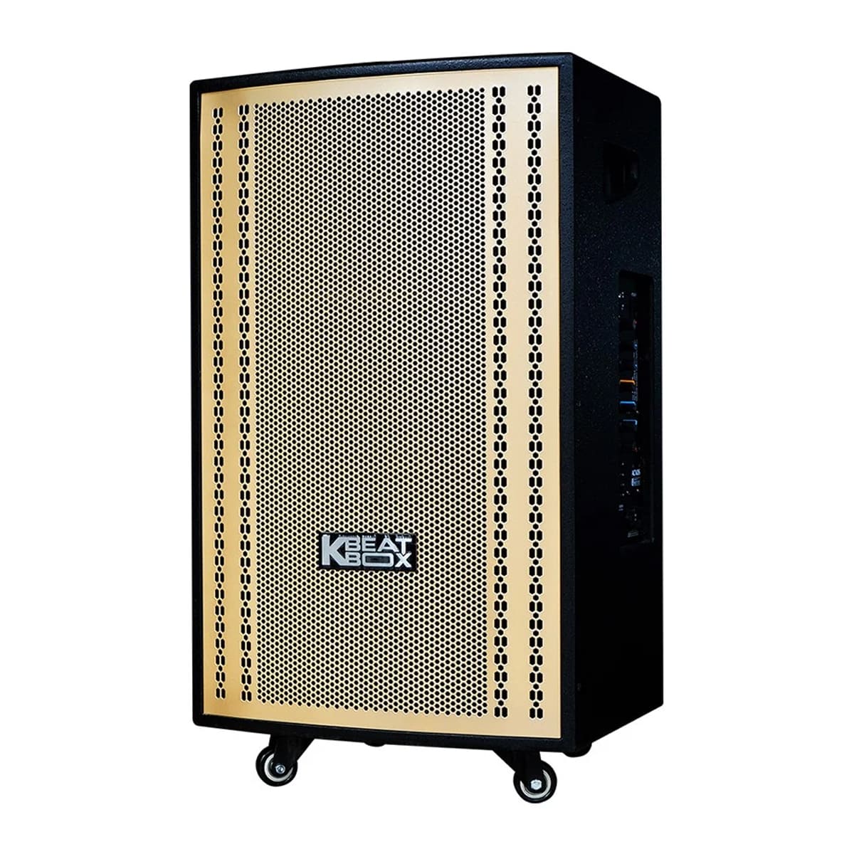 Loa kéo Acnos CB3051G