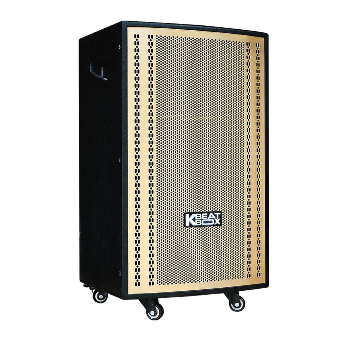 Loa kéo Acnos CB3051G