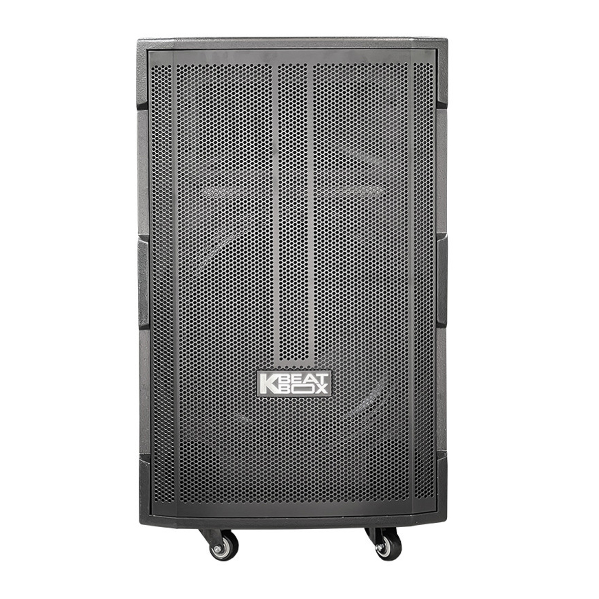 Loa kéo ACNOS CB391G