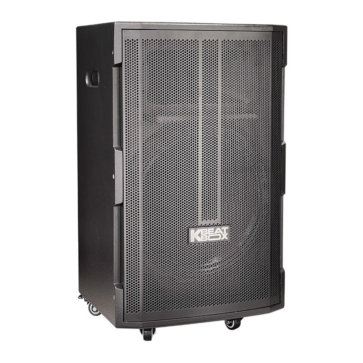 Loa kéo ACNOS CB391G