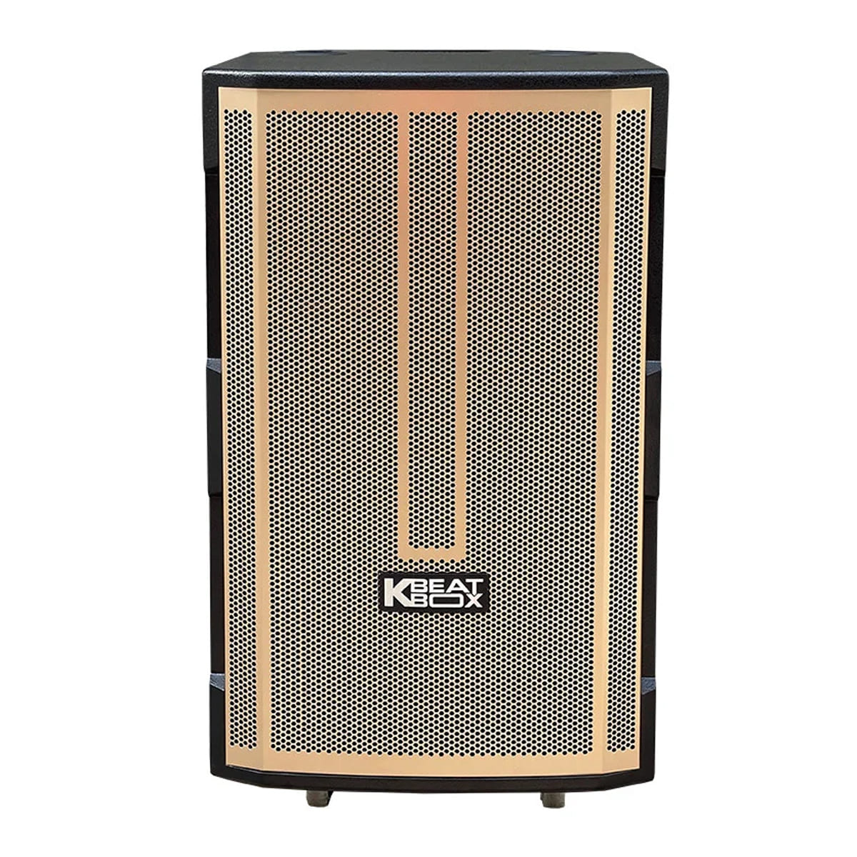 Loa kéo ACNOS CB392G