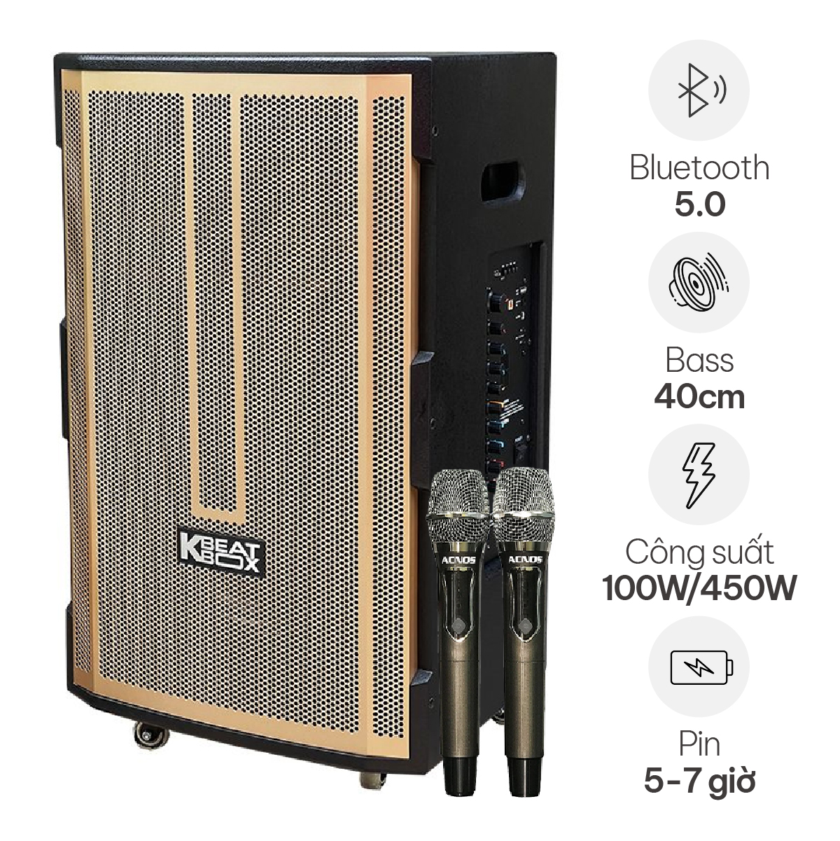 Loa Kéo ACNOS CB392G